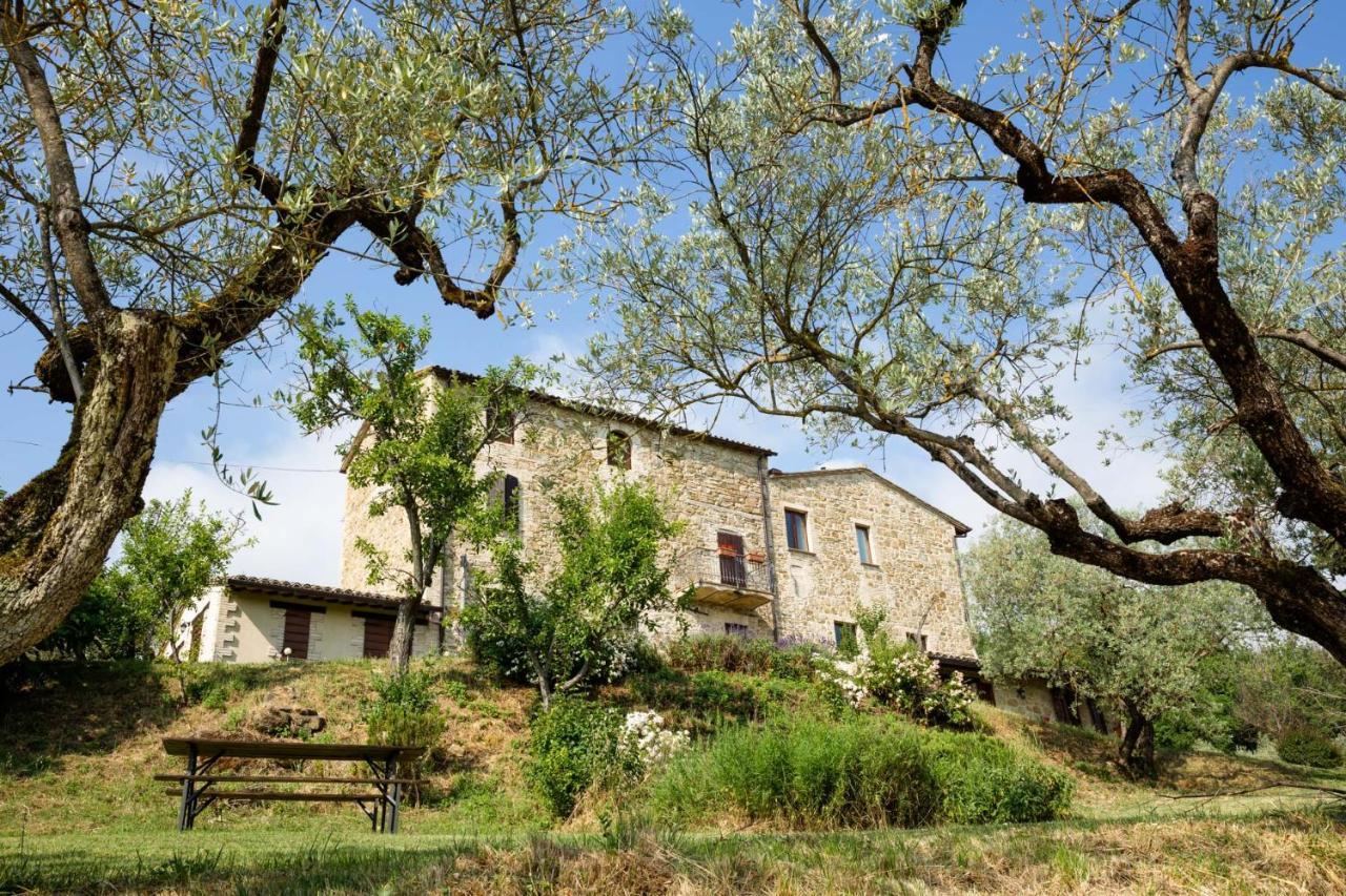 Villa Colle Di Rocco Limigiano エクステリア 写真