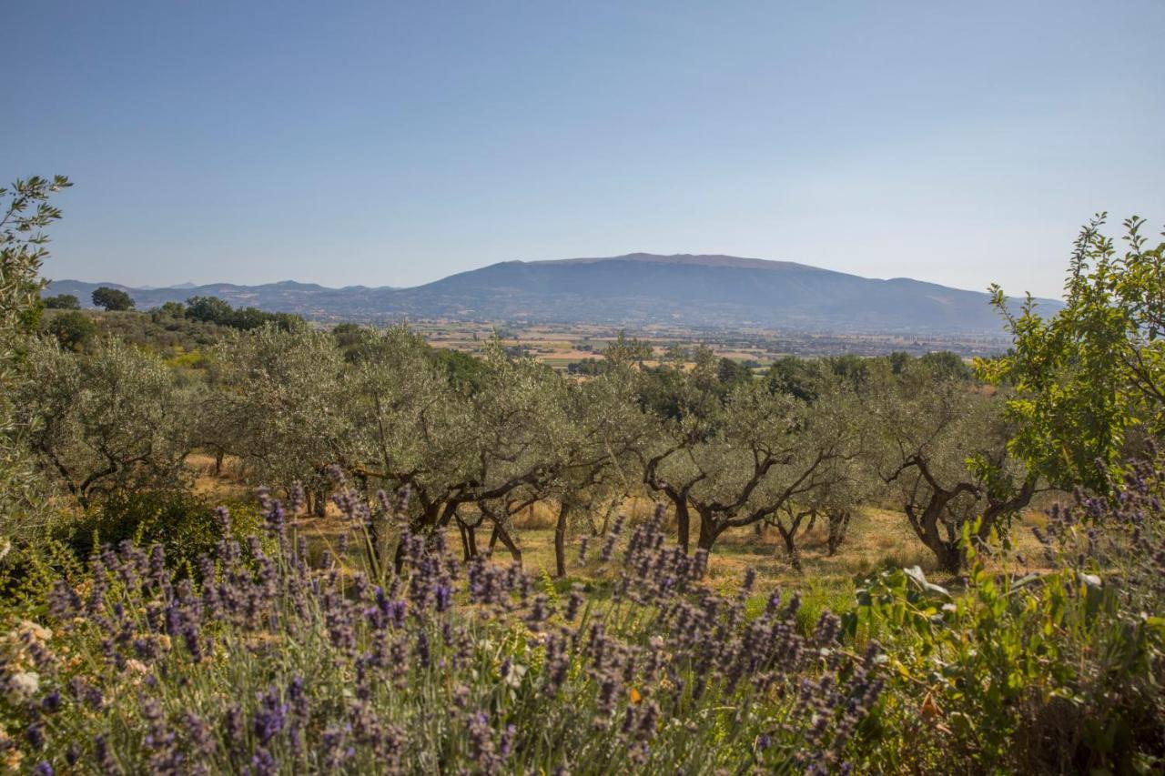 Villa Colle Di Rocco Limigiano エクステリア 写真