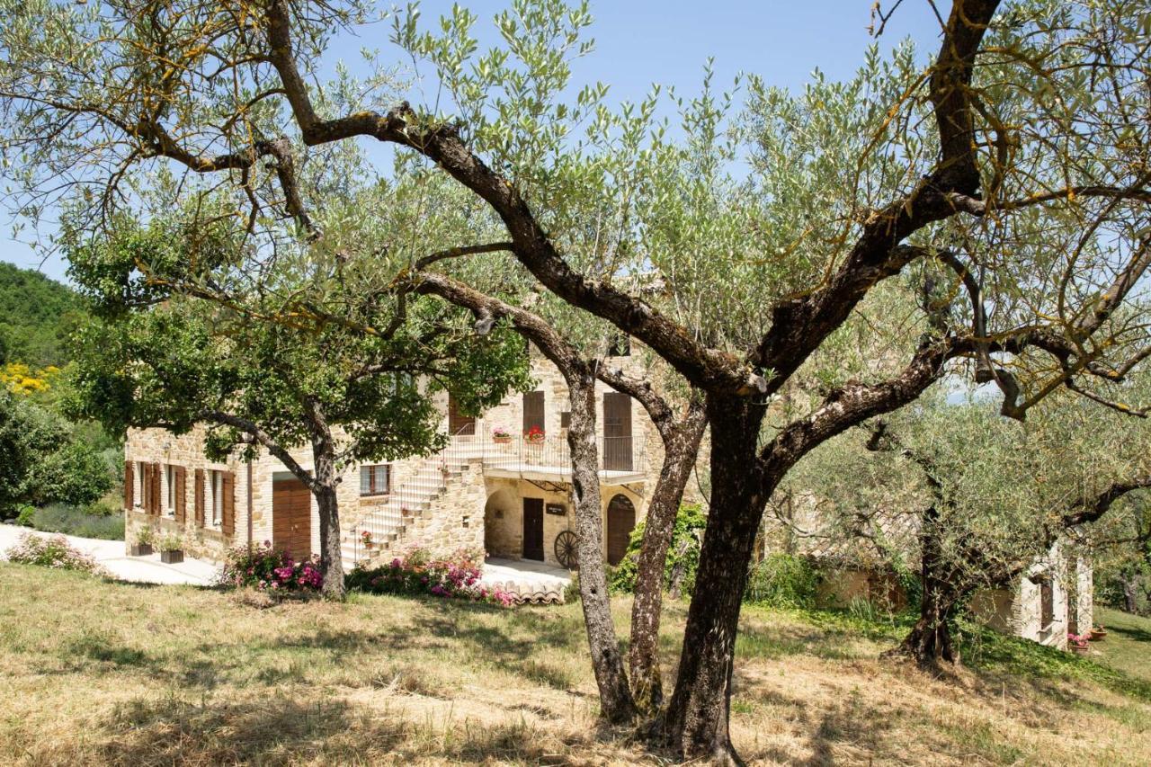 Villa Colle Di Rocco Limigiano エクステリア 写真