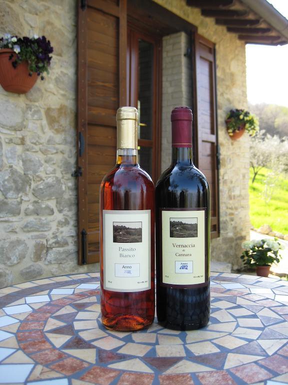 Villa Colle Di Rocco Limigiano エクステリア 写真